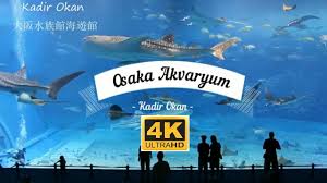 Aquariums Osaka Akvaryum Kopekbaligi Osaka Aquarium Kaiyukan In 2020 Aquarium Osaka Poster