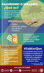 Enfermedad infecciosa que se debe a la presencia de un parásito y la transmiten los mosquitos. Dia Mundial Del Paludismo 25 De Abril