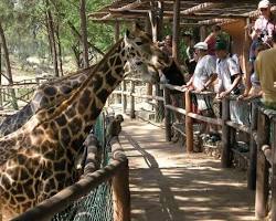 Image of Haller Park, Mombasa