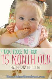 foods to introduce at 15 months feeding our flamingos