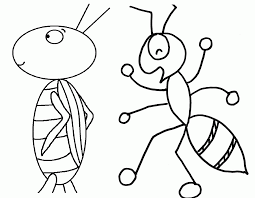 Set off fireworks to wish amer. The Ant And The Grasshopper Coloring Pages Coloring Home