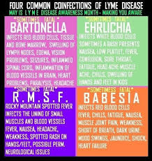 4 common co infections of lyme disease lymediseasechallenge