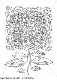 Coloring pages for adults of all ages. Fantasy Flower On Vector Photo Free Trial Bigstock