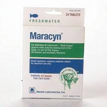 Bettas R Us Product Info Maracyn By Mardel Labs