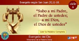 Misioneros De La Palabra Divina Evangelio San Juan 20 11 18 Evangelio San Mateo Evangelio Evangelio Del Dia