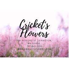 Maybe you would like to learn more about one of these? Crickets Flowers Home Facebook