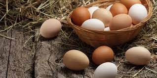 Maybe you would like to learn more about one of these? Bedanya Telur Ayam Kampung Dan Telur Ayam Negeri Lihat 4 Faktor Ini Halaman All Kompas Com