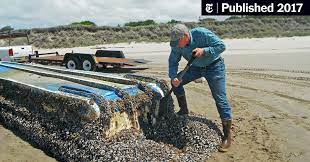 Check spelling or type a new query. After The Tsunami Japan S Sea Creatures Crossed An Ocean The New York Times