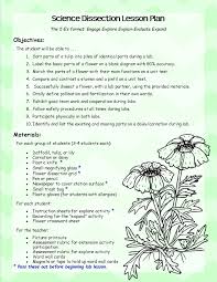 This Detailed Lesson Plan Is Perfect For Teaching The Parts Of A Flower In A Fun Way Parts Of A Flower Lesson Plans For Toddlers Lesson Plans
