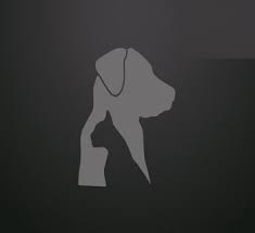 Check spelling or type a new query. Pet Custody Who Gets Custody Of The Dog After A Divorce