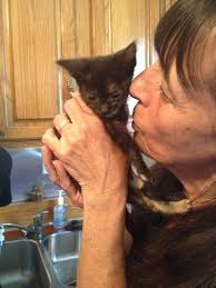 Very hard working and caring people who consistently put the needs of the animals ahead of their own. Angels Helping Animals Is A Family S Labor Of Love The Sun Newspapers