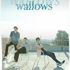 Wallows Wallowsfanpage Twitter