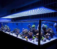 Led Light Modification You Need To See Comparable To Orpheks Atlantics Lights Led Aquarium Lighting Aquarium Lighting Fish Aquarium Decorations