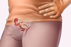 Gravidez Semana A Semana Como O Bebe Se Desenvolve Tua Saude