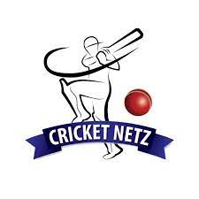 Cricket Netz Logo Shape Grafix Cricket Logo Logo Shapes Cricket Logo Design