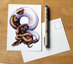 Pied Ball Python Postcard Illustration Etsy Ball Python Etsy Stickers Python Drawing