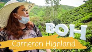 Cameron valley tea house 2 ☆ cameron highland ☆ flawsome trip 2019. I Went To Ladang Teh Boh Sungei Palas In Cameron Highland Youtube