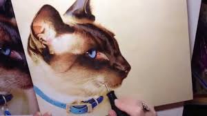 Even black, white, and gray cats can use little hints of color, so try to incorporate some. Siamese Cat In Pyrography Coloured Pencil And Pen Youtube