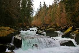 Mar 11, 2016 · the washington state ferries system has a number of routes which access the olympic peninsula via puget sound. Staircase Rapids 5 Hikes For The Weekend Staircase Olympic National Park Olympic National Park National Parks Olympic Peninsula