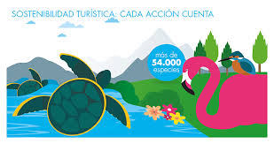 El turismo en colombia ha crecido de manera muy positiva desde 2017. Fontur Nts 2016 Turismo Sostenible Turismo Turistico