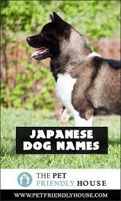 Pin On Dogs