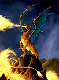 If Pokemon Were Real Pokemon Charizard Art Pokemon Charizard