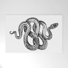 21 Realistic Snake Tattoo Drawing Ideas Petpress 21 Realistic Snake Tattoo Drawing Ideas Petpress Drawi In 2020 Tattoo Sketches Snake Tattoo Tattoo Drawings