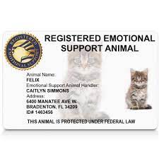 Check spelling or type a new query. Registered Emotional Support Animal Id Card Esa Cat Id Card