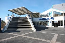 Condiţiile meteorologice observate deseori contrazic prognozele. Boulogne Sur Mer Tous Les Requins Marteaux Sont Morts A Nausicaa