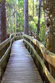 Maybe you would like to learn more about one of these? Pinellas County Florida Brooker Creek Preserve Pinellas County Florida Florida Vacation Tarpon Springs Florida