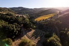 Shape Something Wild: Sculpting with the Land