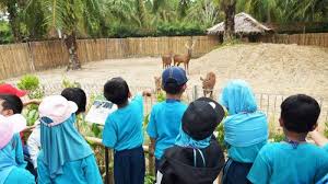 Jaringan hewan merupakan jaringan yang terdiri atas sekumpulan sel hewan. 500 Siswa Sd Ypsa Ikuti Observasi Satwa Ke R Zoo Tribun Medan