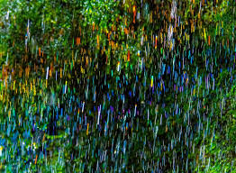 Cory Poole (@corypoolephotography) • Instagram photos and videos