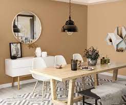 Balsam Brown 8520 House Wall Painting