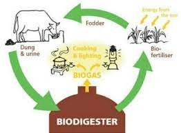 See full list on sumberbelajar.belajar.kemdikbud.go.id Tolong Gambarkan Poster Biogas Dong Plissss Brainly Co Id