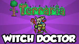 Witch doctor terraria