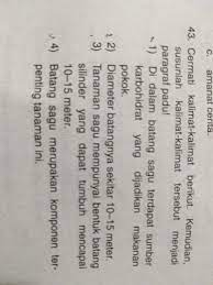 Bila dicermati, kalimat (a) adalah kalimat aktif serta kalimat (b) dan (c) adalah kalimat pasif. Cermati Kalimat Berikut Kemudian Susunlah Kalimat Tersebut Menjadi Paragraf Padu Brainly Co Id