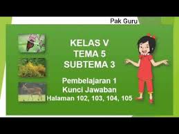 Check spelling or type a new query. Kunci Jawaban Kelas 5 Tema 5 Halaman 102 103 104 105 Youtube