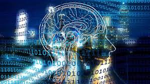 Predict ski rentals perform customer clustering check out some of our other getting started tutorials! Introduction To Sql Server Machine Learning Services Course Preview Sqlnethub