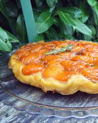 Bonjour Mes Petits Chats En Guimauve J Espere Que Vous Passez Un Bel Ete Que Vous Etes Entrain De Vous La Couler Do Abricot Tarte Tatin Abricot Tarte Tatin