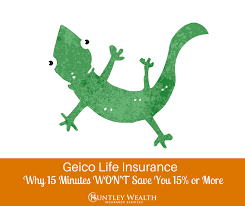 Policies are not underwritten by geico: Geico Life Insurance Company Review 2020 Quotes Pros Cons