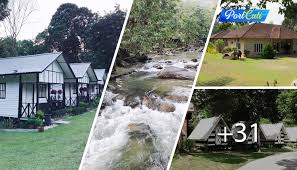 Menawarkan sehingga 90 tarikan dengan 6 taman tema menarik buat anda seisi keluarga. Berkelah Tepi Sungai Dan Bermalam Dalam Chalet Kayu Kawasan Kampung Antara Percutian Menarik Di Ulu Selangor Port Cuti