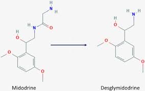 Image result for Midodrine