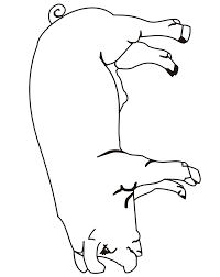 We have collected 40+ realistic farm animal coloring page images of various designs for you to color. Pig Coloring Page A Realistic Drawing Of A Pig Farm Animal Coloring Pages Coloring Pages Wood Burning Patterns Stencil