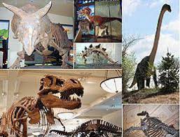 De ce au disparut dinozaurii. Dinozaurii Au DispÄƒrut Din Cauza Unui Asteroid È™i Nu Din Cauza Vulcanilor Spun CercetÄƒtorii Hotnews Mobile