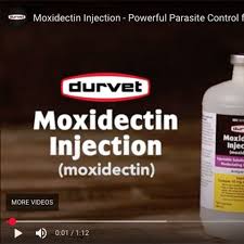 Image result for Moxidectin