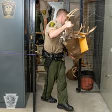 Game Commission breaks up poaching ring | News | northcentralpa.com