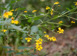 Maybe you would like to learn more about one of these? Ava Erin S Wedding Photos Austin Texas Catherine Abegg