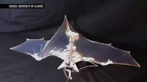 Ornithopters generate lift by flapping . Bat Bot Flying Robot Mimics Ridiculously Stupid Complexity Of Bat Flight The Two Way Npr