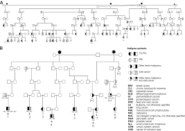 Learn about the major differences between php vs html and how to use them together along with the benefits of html and php. Shared Genomic Segment Analysis In A Large High Risk Chronic Lymphocytic Leukemia Pedigree Implicates Cxcr4 In Inherited Risk